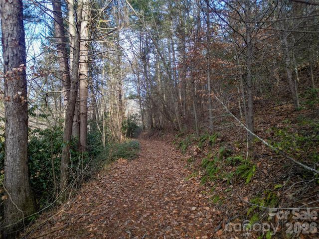 1573 Revere Road, Marshall, NC 28753