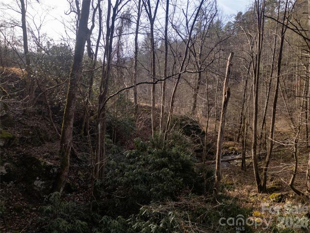 1573 Revere Road, Marshall, NC 28753