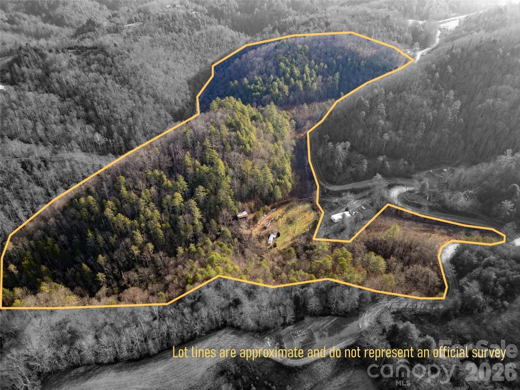 1573 Revere Road, Marshall, NC 28753