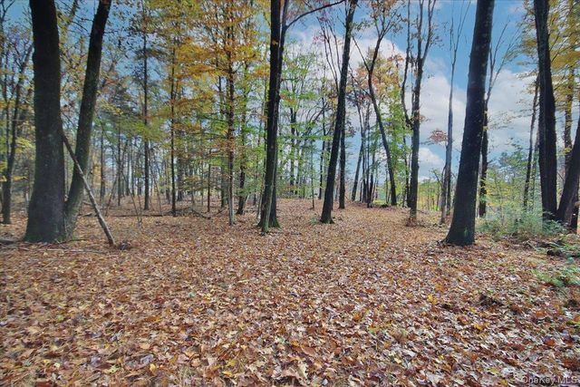 139 Mill Dam Road, Stone Ridge, NY 12484