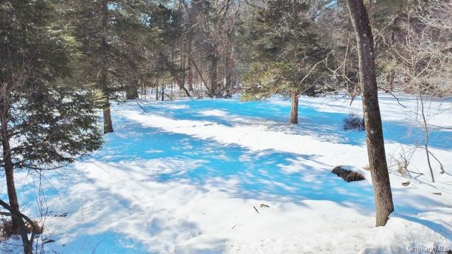 139 Mill Dam Road, Stone Ridge, NY 12484