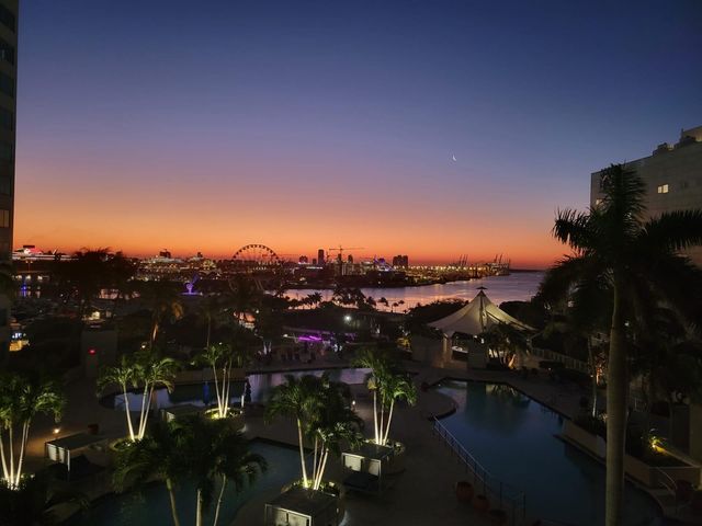 253 NE 2nd St 1103, Miami, FL 33132