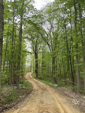 42733 Cr 390, Bloomingdale, MI 49026