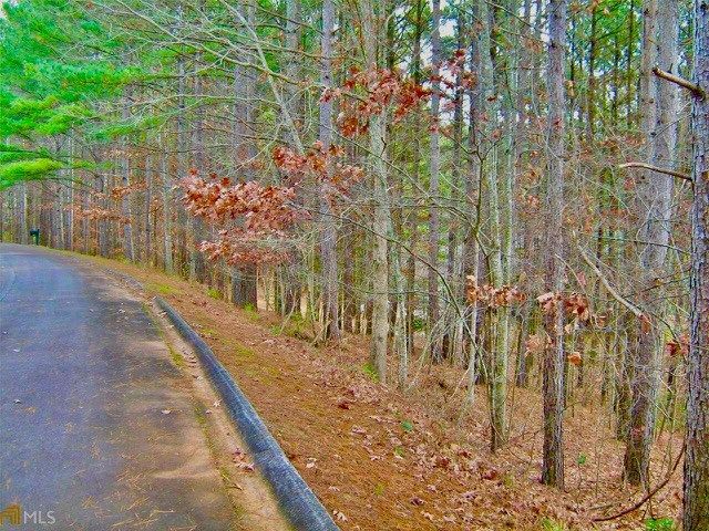 00 Golden Delicious Road, Clarkesville, GA 30523