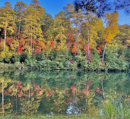 00 Golden Delicious Road, Clarkesville, GA 30523