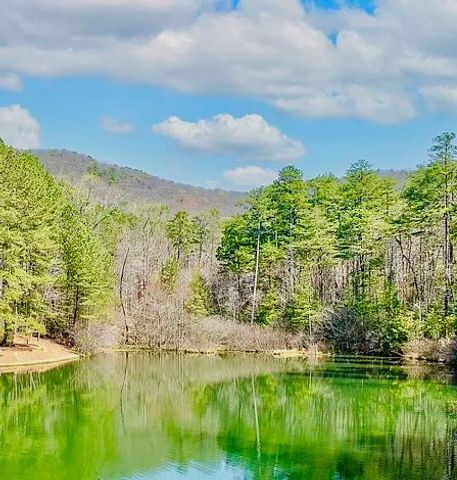 00 Golden Delicious Road, Clarkesville, GA 30523