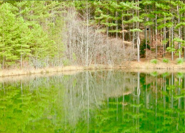 00 Golden Delicious Road, Clarkesville, GA 30523