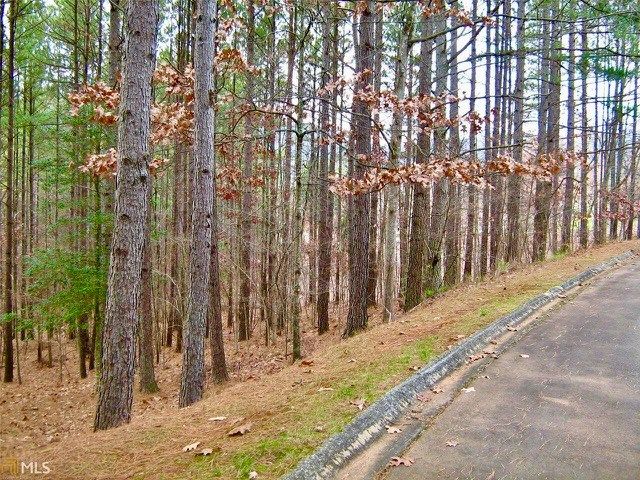 00 Golden Delicious Road, Clarkesville, GA 30523