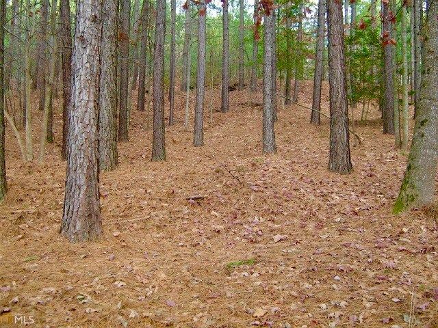 00 Golden Delicious Road, Clarkesville, GA 30523