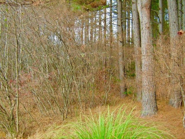 00 Golden Delicious Road, Clarkesville, GA 30523