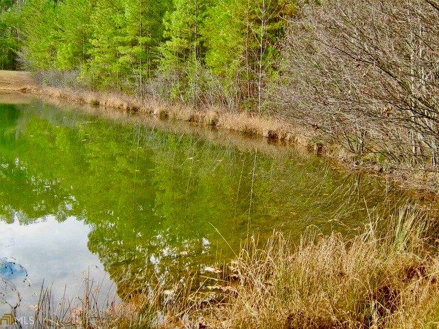 00 Golden Delicious Road, Clarkesville, GA 30523