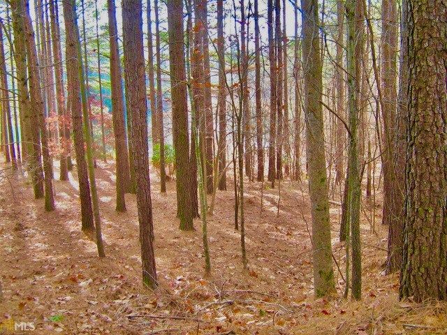 00 Golden Delicious Road, Clarkesville, GA 30523
