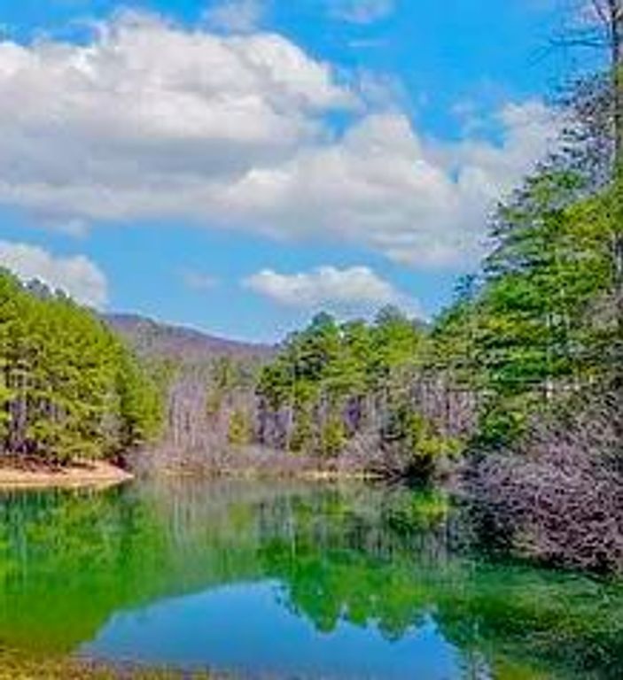 00 Golden Delicious Road, Clarkesville, GA 30523