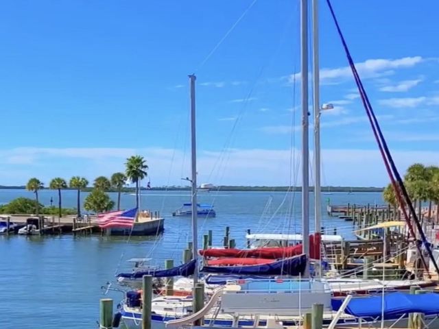777 CLAUDIA LANE, Palm Harbor, FL 34683