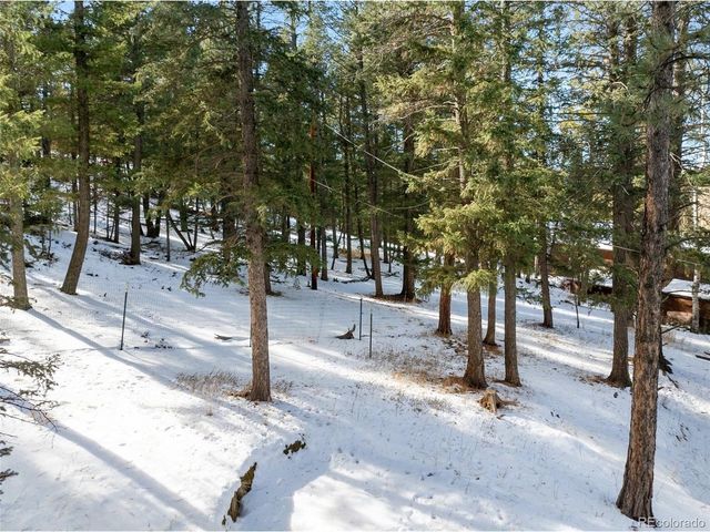 2619 Sunnywood Ave, Woodland Park, CO 80863