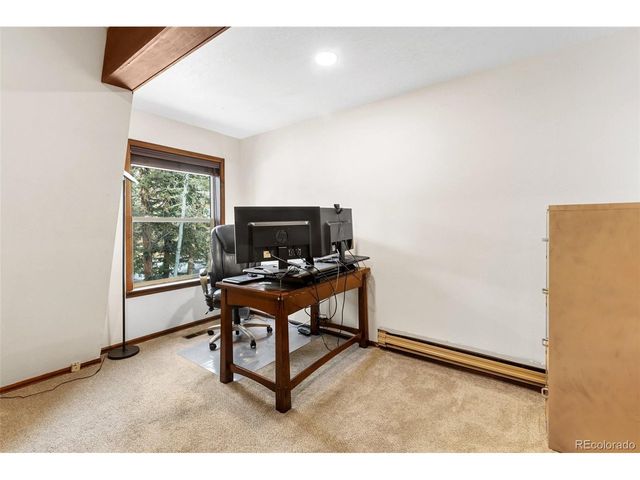 2619 Sunnywood Ave, Woodland Park, CO 80863