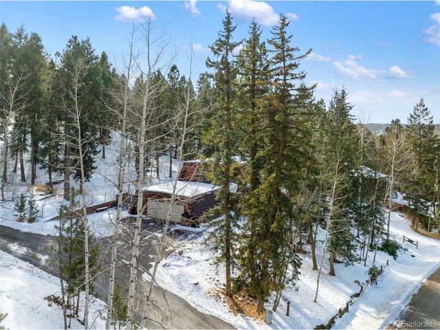 2619 Sunnywood Ave, Woodland Park, CO 80863