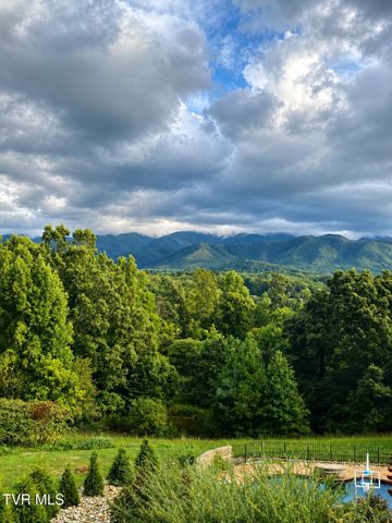 1180 Keller Road, Afton, TN 37616