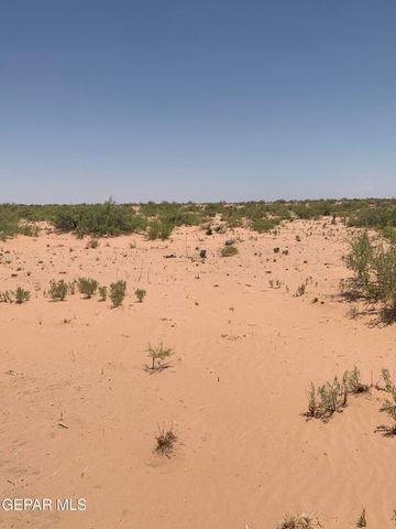 PN62177 Cocktail Drive, Ft Hancock, TX 79839