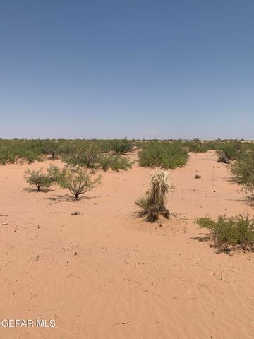 PN62177 Cocktail Drive, Ft Hancock, TX 79839