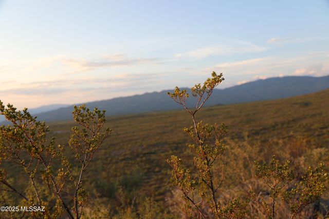 11175 S Witter Piano Mountain Place, Vail, AZ 85641