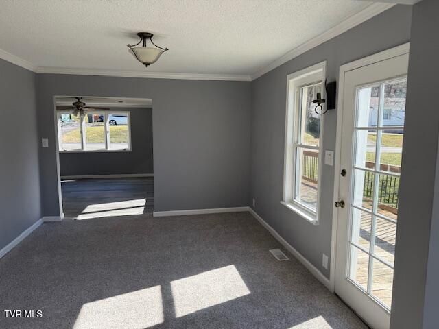 2021 Windsor Avenue, Bristol, TN 37620