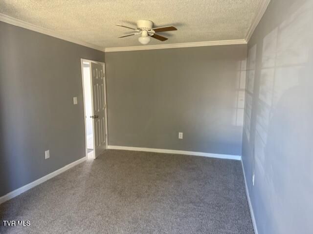 2021 Windsor Avenue, Bristol, TN 37620
