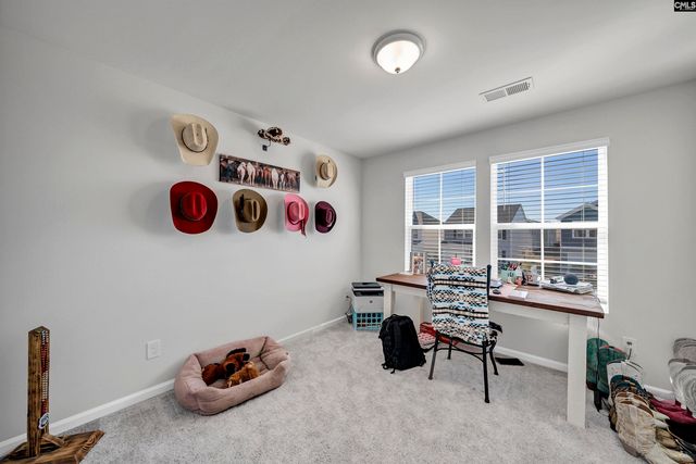 725 S Long Star Way, Elgin, SC 29045