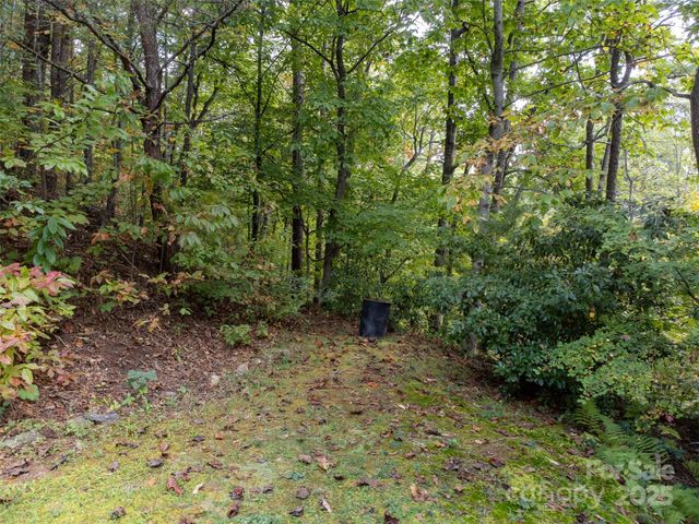 365 Duckback Trail, Whittier, NC 28789