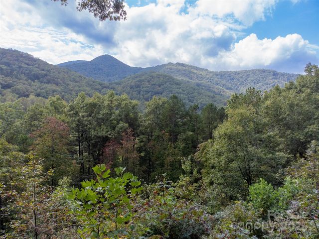 365 Duckback Trail, Whittier, NC 28789