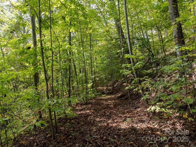 365 Duckback Trail, Whittier, NC 28789