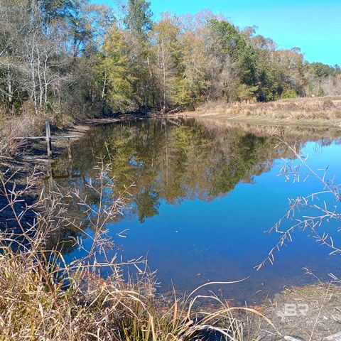 9841 Wesley Chapel Road, Georgiana, AL 36033