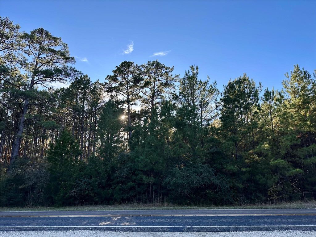 3709 Fm 350 N, Livingston, TX 77351