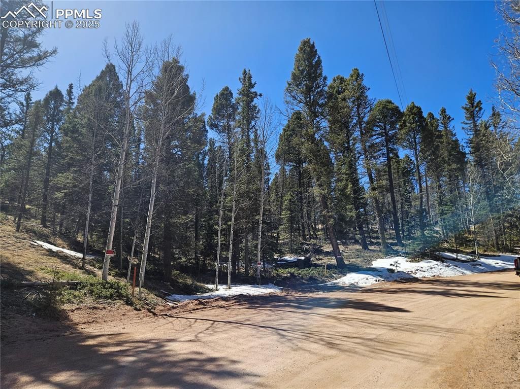550 Manchester Drive, Florissant, CO 80816