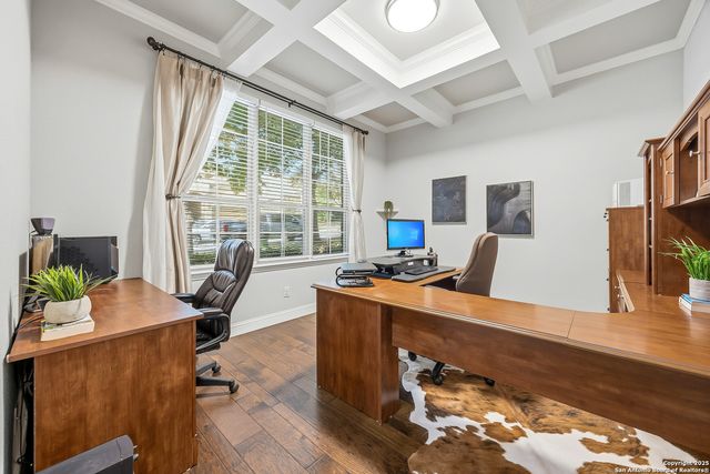 25706 Coreopsis, San Antonio, TX 78261