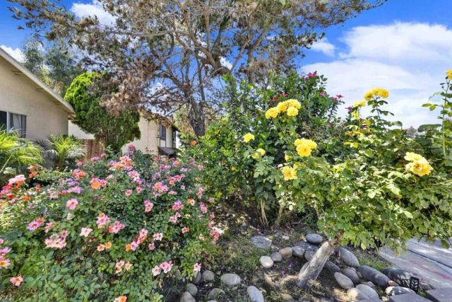 7715 Borrego Street, San Diego, CA 92114