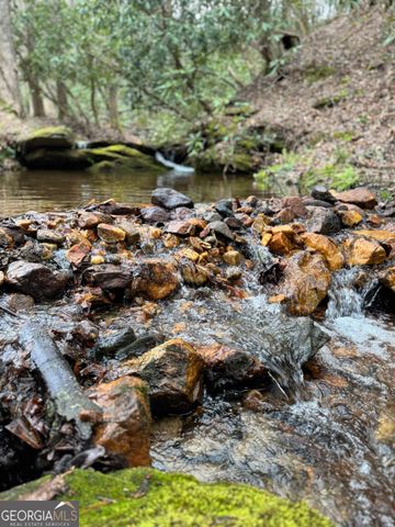 2889 Old Parker Place Rd, Ellijay, GA 30536