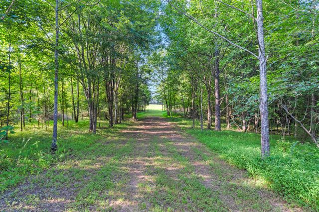 3701 Oakwood Church Rd, Cedar Hill, TN 37032