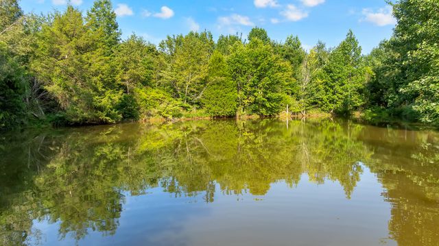 3701 Oakwood Church Rd, Cedar Hill, TN 37032