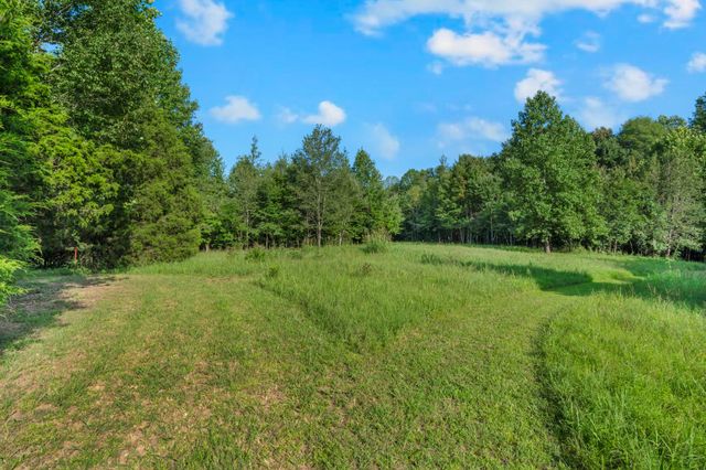 3701 Oakwood Church Rd, Cedar Hill, TN 37032