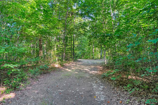 3701 Oakwood Church Rd, Cedar Hill, TN 37032