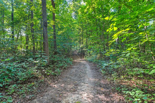 3701 Oakwood Church Rd, Cedar Hill, TN 37032