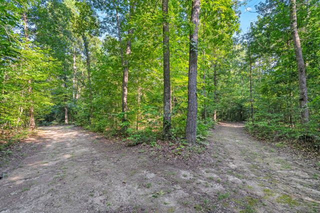 3701 Oakwood Church Rd, Cedar Hill, TN 37032