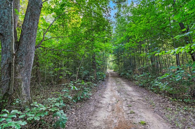 3701 Oakwood Church Rd, Cedar Hill, TN 37032