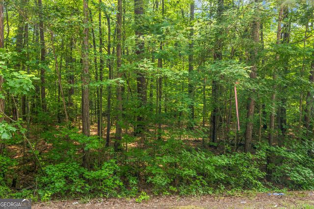 00 Coastline Road, Fayetteville, GA 30214