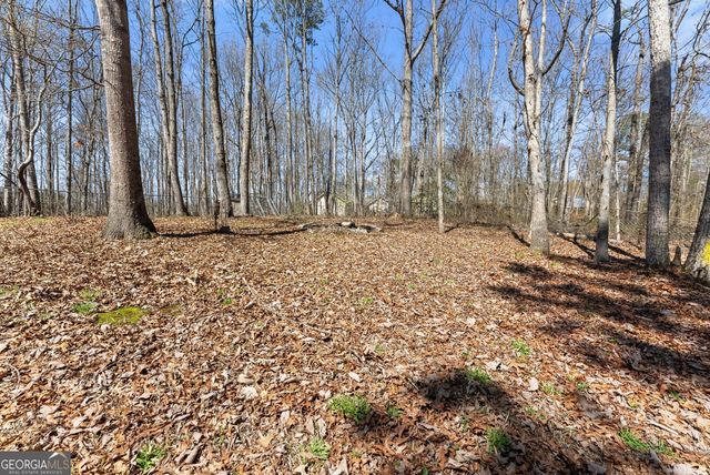 125 Shenandoah Lane, Alto, GA 30510