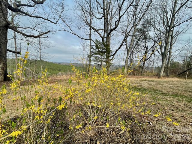 517 Union Road, Rutherfordton, NC 28139