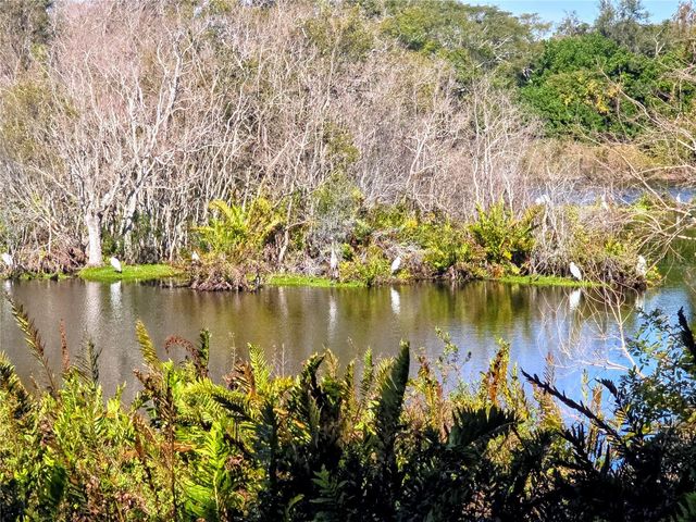 742 ARTHURS COURT, Tarpon Springs, FL 34689