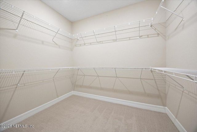 213 CURVED BAY Trail, Ponte Vedra, FL 32081