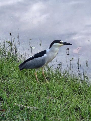 4900 Washington Street 309, Hollywood, FL 33021